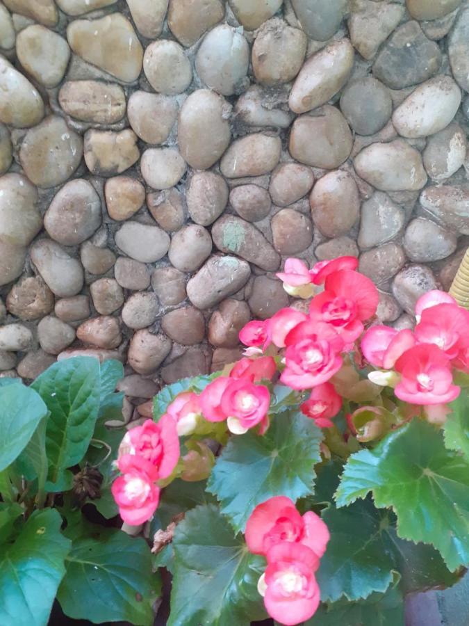 Pousada Recanto Das Flores Прайя де Моитас Екстериор снимка